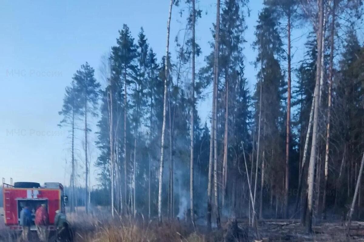 In the Ivanovo region extinguished a forest fire