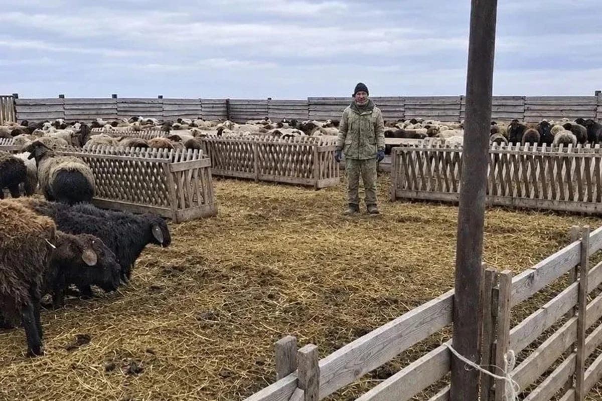 Number of employed livestock breeders increased by 50% in Kalmykia