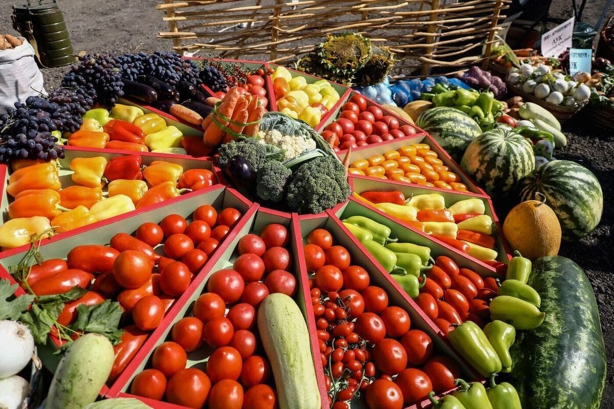 In Volgograd stores rose tomatoes, but cheaper lamb