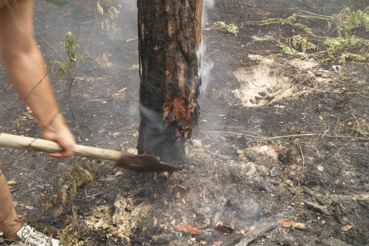 Mosoblles specialist told about the dangers of peat fires: it can survive even winter