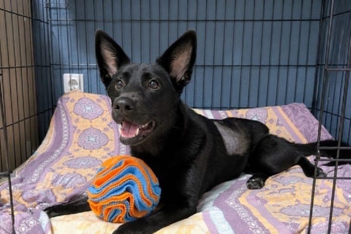 Ira, who survived a fall from a height in Petrozavodsk, began restorative training n