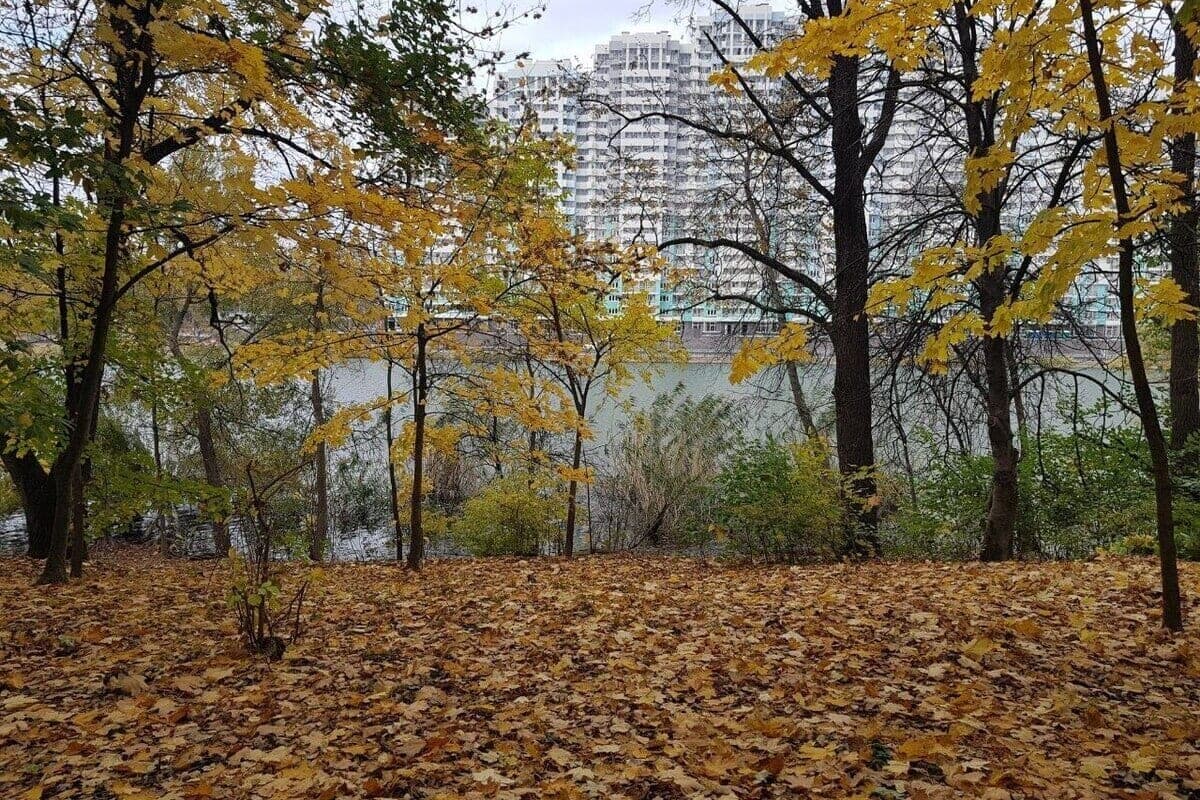 South wind, rain and up to +26 ° C is expected on October 9 in the Krasnodar Territory