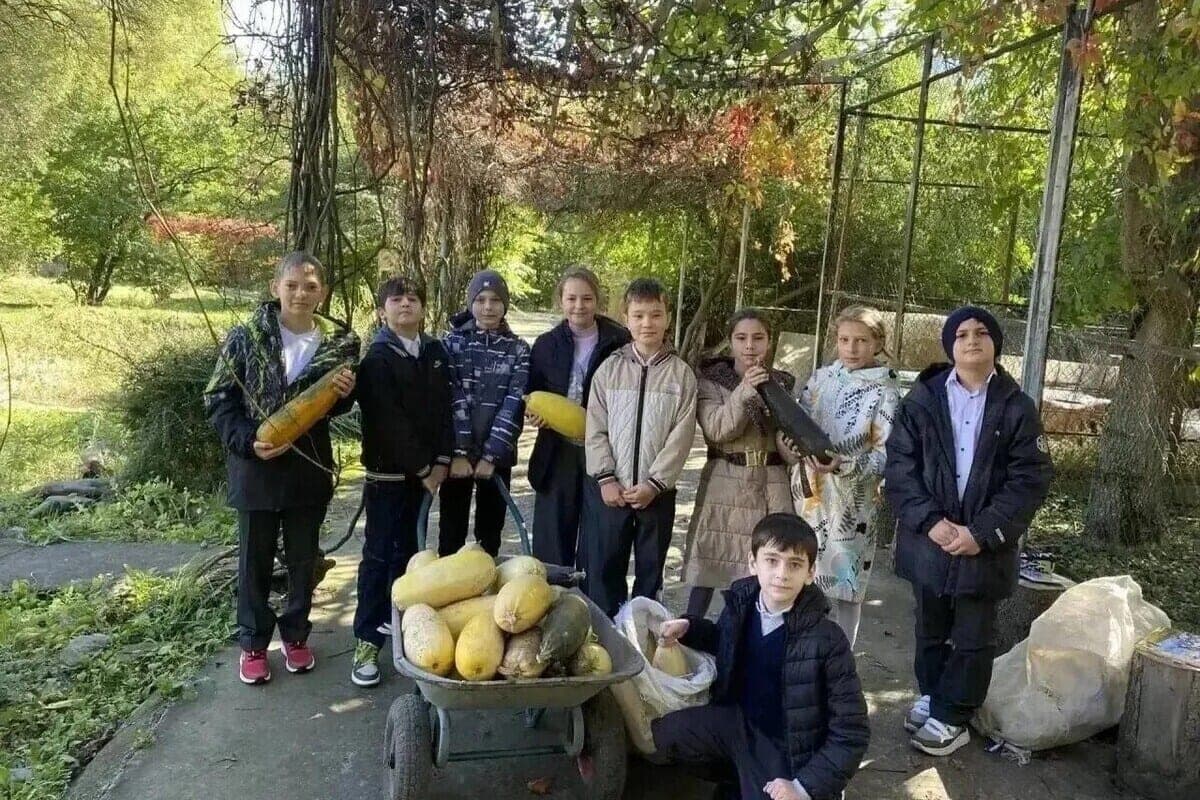 Yunuts Kislovodsk collected a record harvest of squash