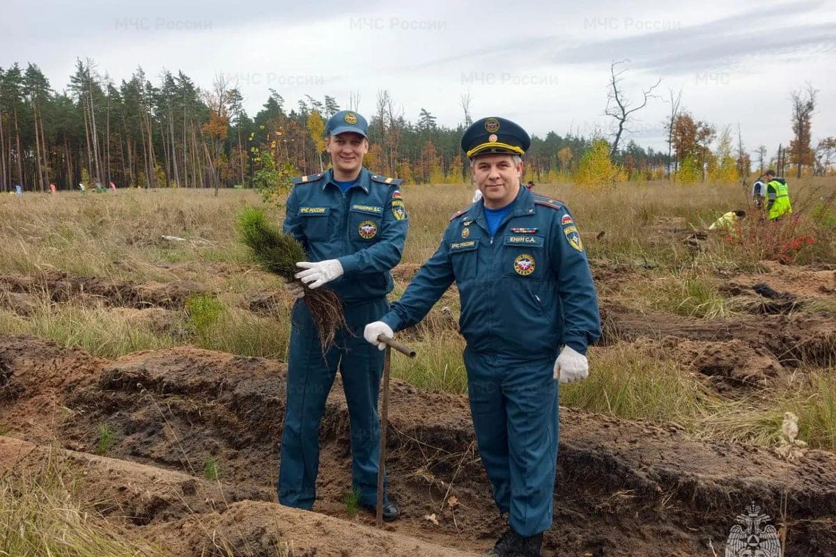 Voronezh rescuers planted trees on the Leather Cordon