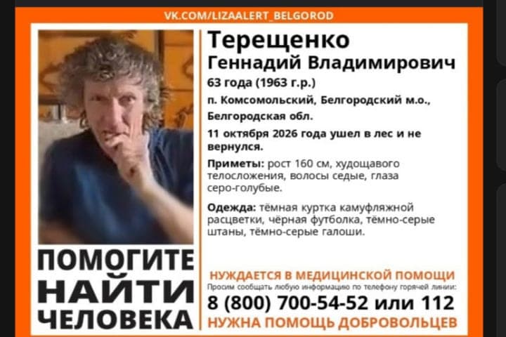 A man missing in the forest is being searched near Belgorod: he needs the help of doctors