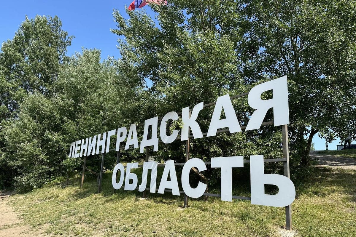 КУГИ обеспечил рост доходов бюджета Ленобласти на 198,9 млн за девять месяцев