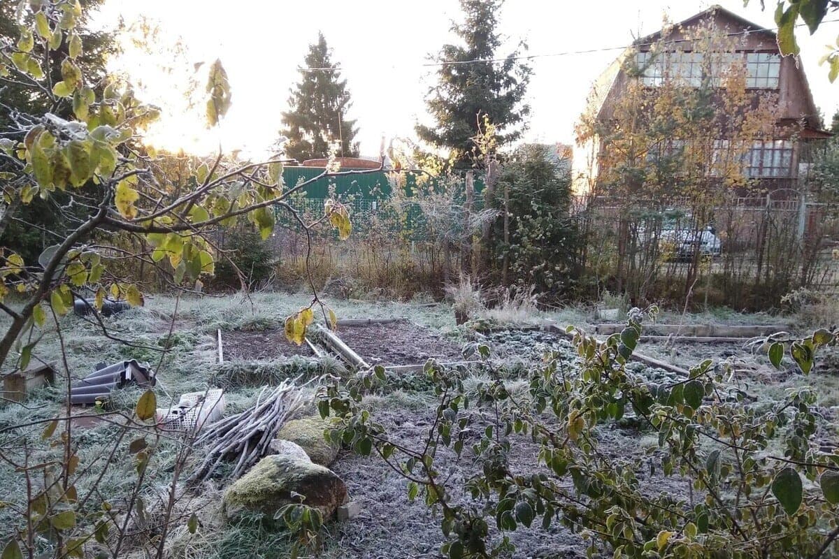 Lesha is going underground, and winter is coming. What you need to know about Erofeev Day