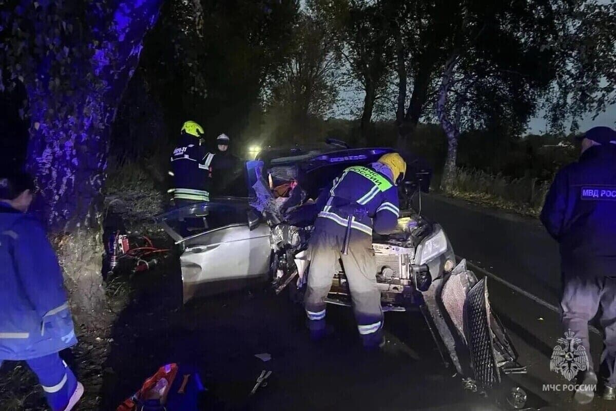 In Svetlya after an accident with a tree, rescuers freed a passenger from the car