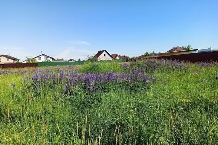 In the Yaroslavl region revealed violations in the treatment of fields with pesticides
