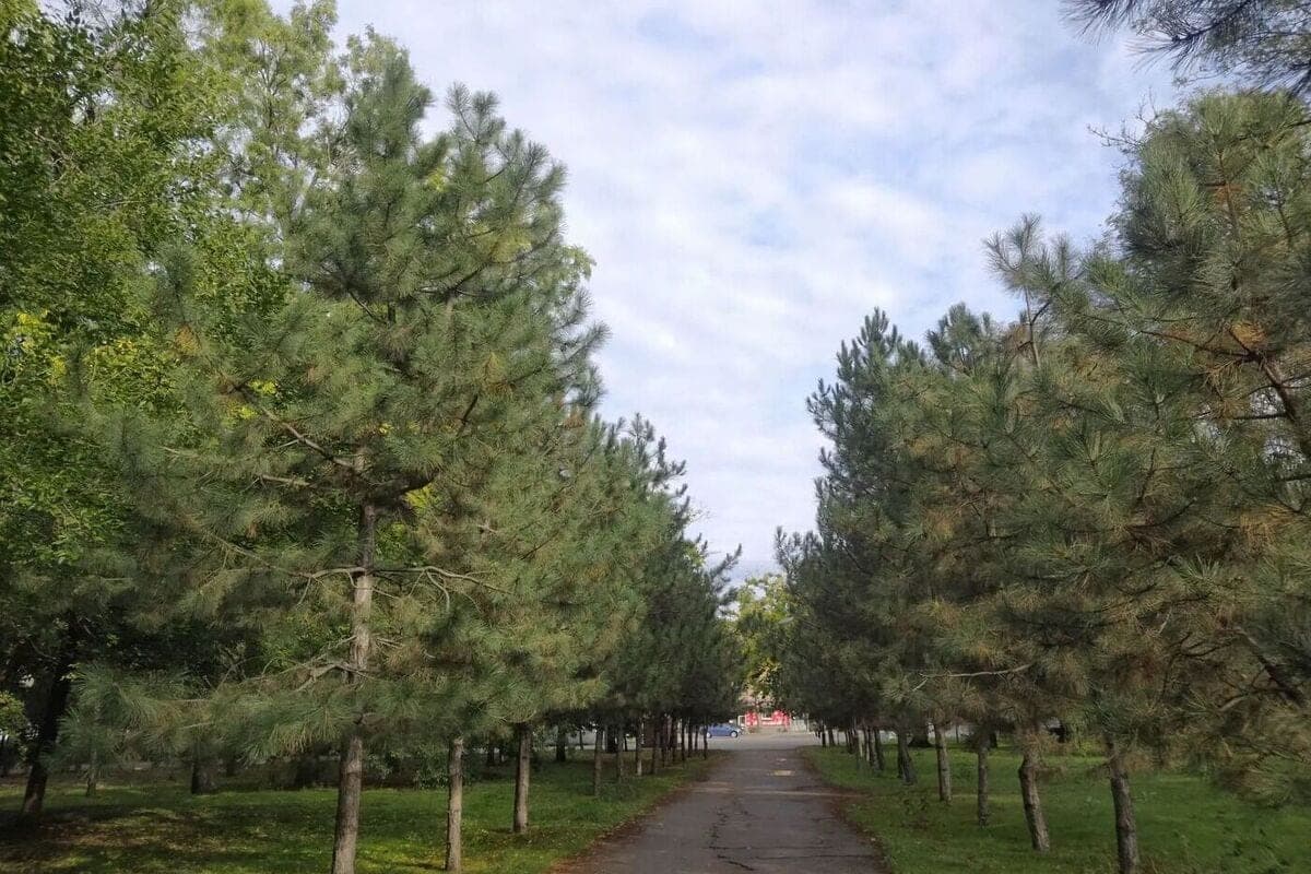 October 24 in the Zaporozhye region is expected overcast weather with clarifications