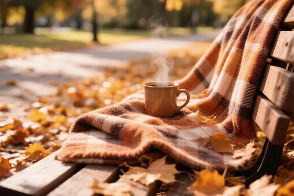In the Tyumen region will be warm and windy October 11