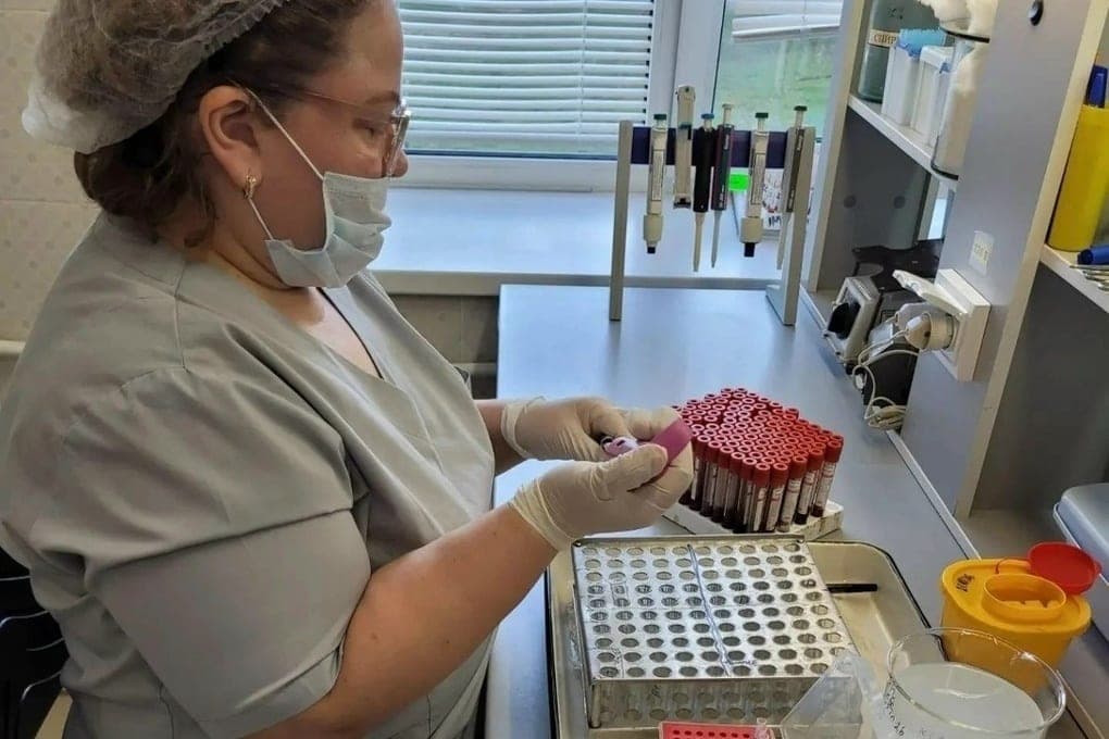 In the Yaroslavl region introduced a quarantine for rabies