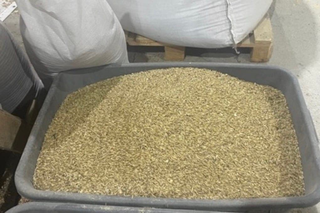 Rosselkhoznadzor revealed violations in sowing seeds from Orel farmer