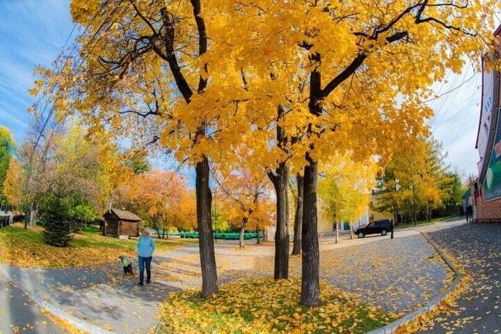 Up to +11 degrees and morning fogs are expected on Friday in the Southern Urals