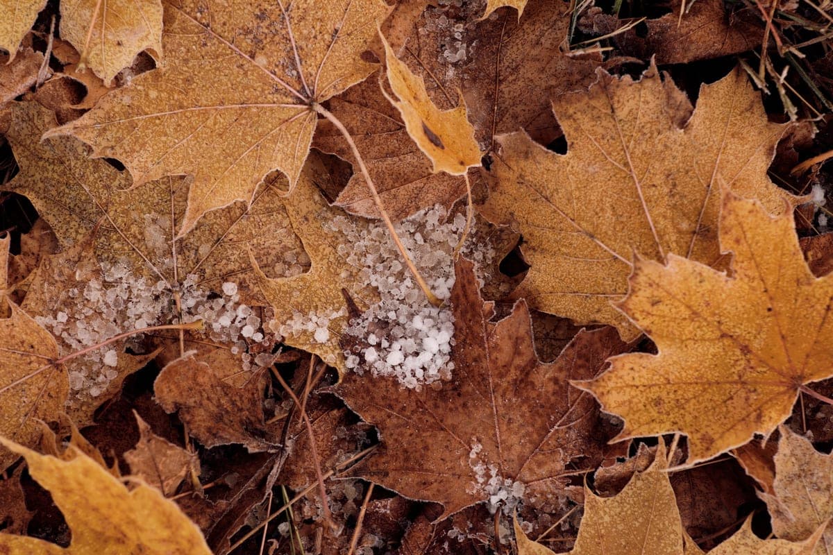 In Krasnoyarsk on Monday expected frosts to -7 and ice