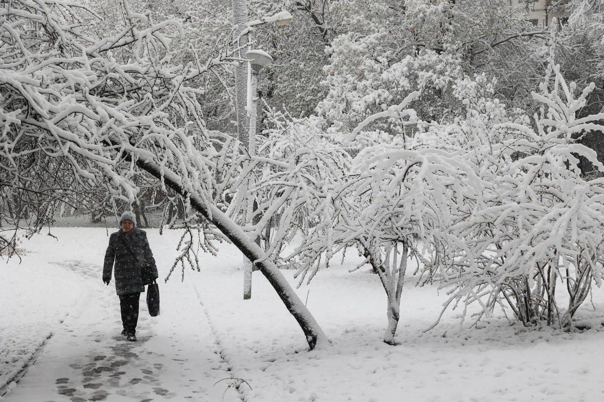 Forecaster told when the first snow is expected in Moscow