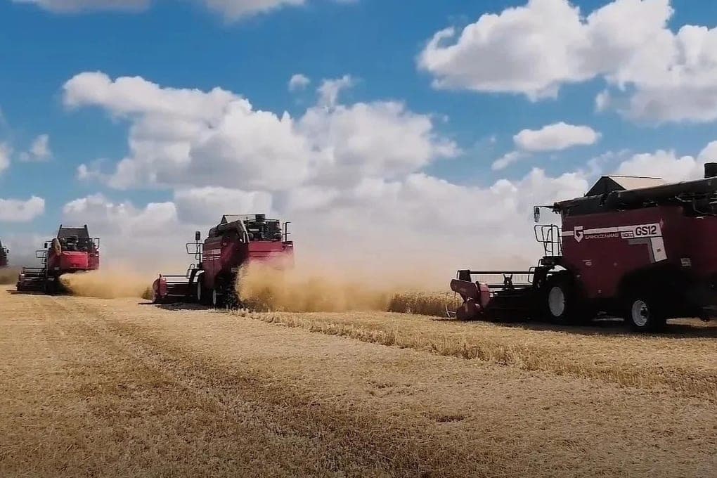 Alexey Popov: Samara breeding varieties occupied 70% of the area of hard wheat in Russia