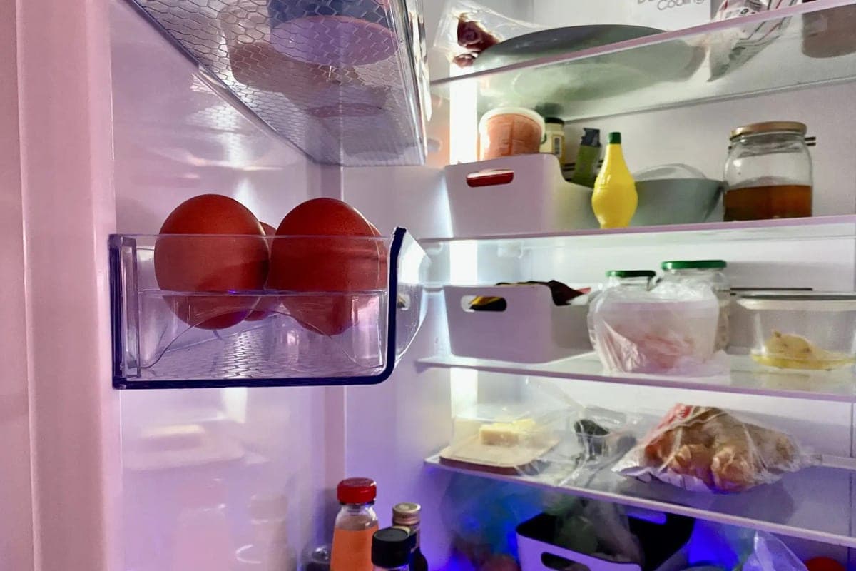 Leningrad residents told how not to pick up the “intestine” from the native refrigerator