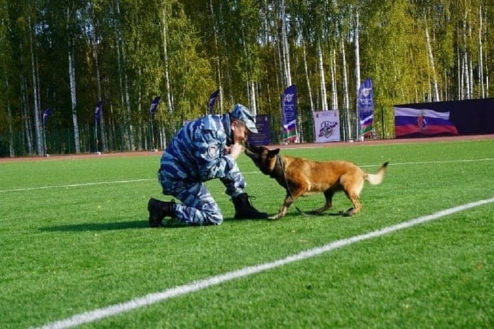 Karelian cynologists became the best at the all-Russian competitions of the Ministry of Internal Affairs