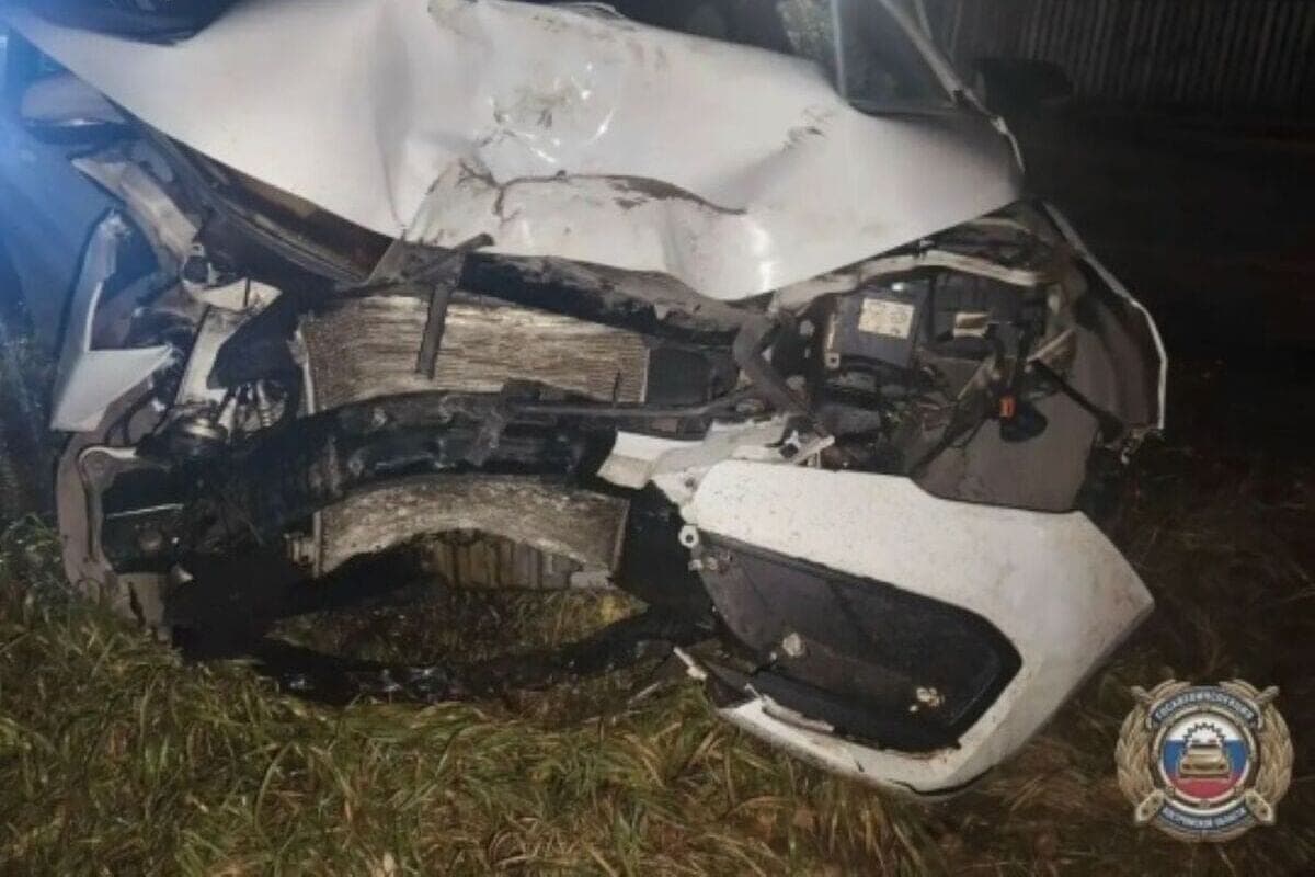 Kostroma accidents: a drunk driver on the Lada crashed into a tree