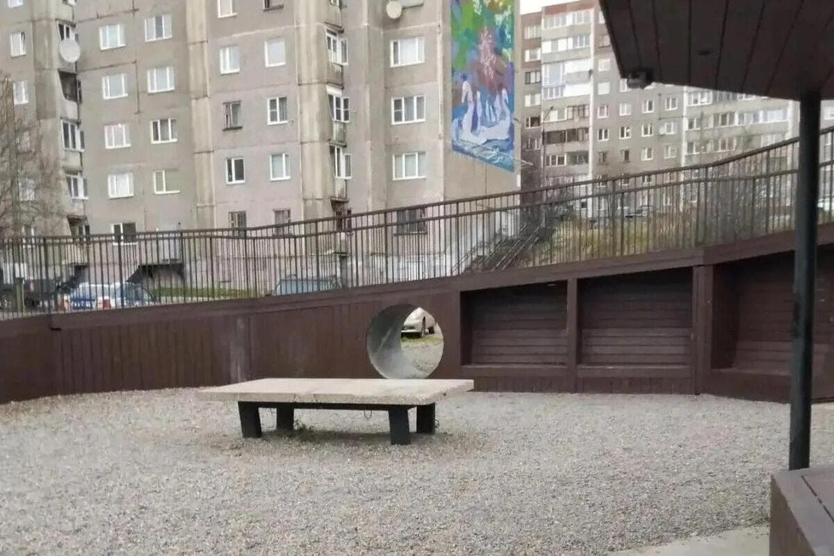 Lebedev: in Murmansk cleaned of garbage green areas and places for walking