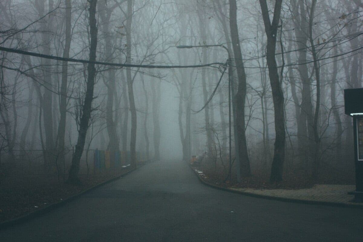 The Leningrad region will meet on October 29 fog and cold snap to minus three degrees