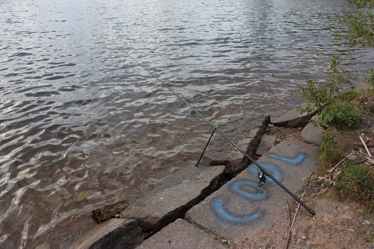 Two poachers profited on Trifonojärvi for 95 fish or 450 thousand rubles