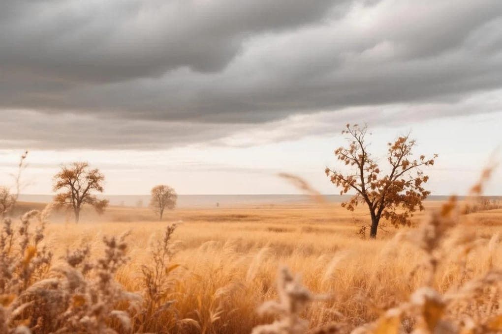 Tomorrow signs will tell about the weather in Kalmykia for the coming days