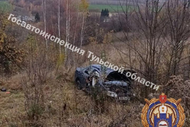 В Дубенском районе пьяная девушка без прав опрокинула автомобиль