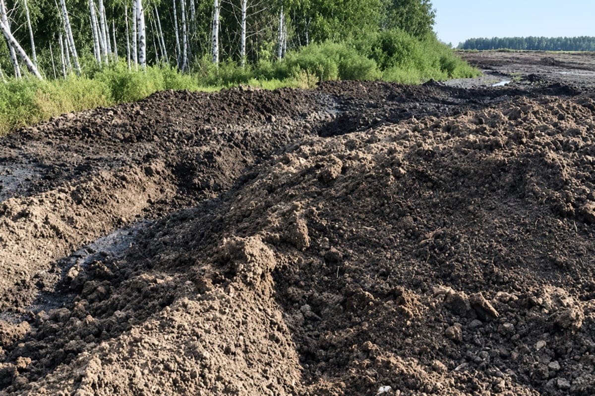 В Рязанской области выявили серьёзные загрязнения почвы сельхозназначения
