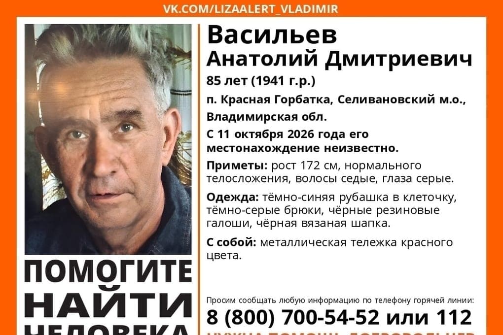 In the Vladimir region looking for 85-year-old Anatoly Vasiliev