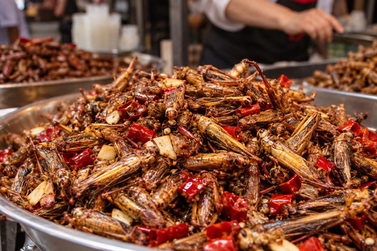En Chine, a offert aux Russes de cuisiner des sauterelles