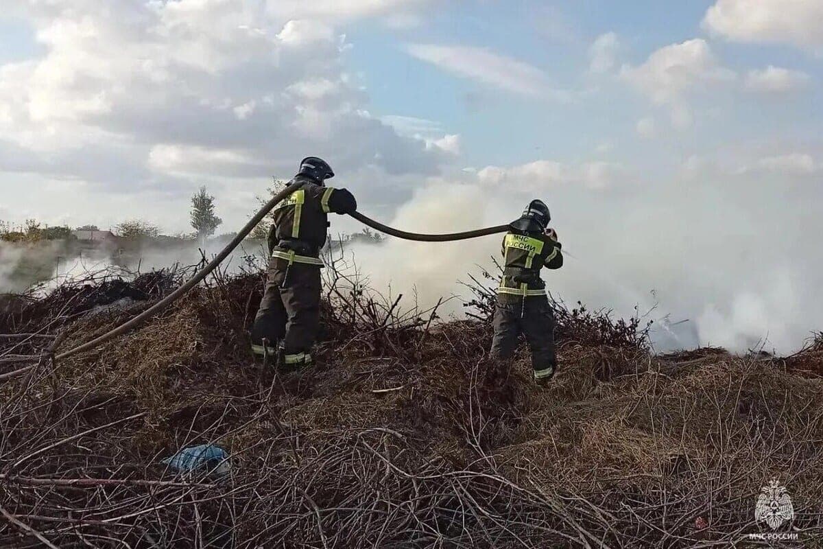 В Запорожской области за сутки потушили пять пожаров