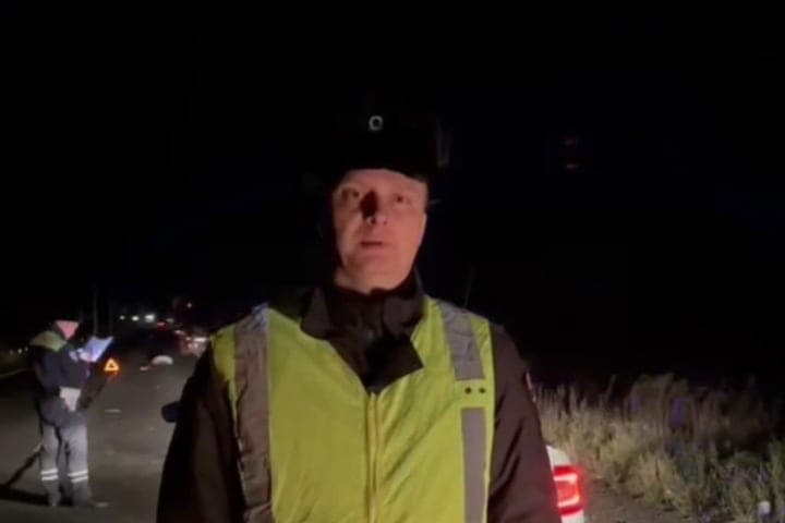 Der Fahrer eines koreanischen ausländischen Autos schlug einen Ausreißer auf der Straße von Leningrad nieder