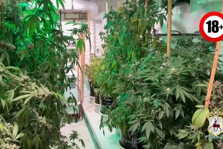 In the Nizhny Novgorod region from 56-year-old man seized a drug laboratory