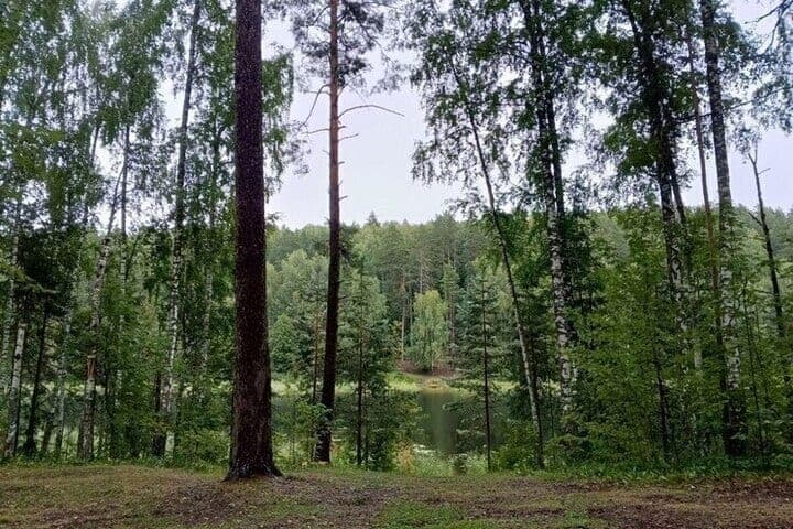 A teenager from a Russian city accidentally confused a bus and got lost in the woods