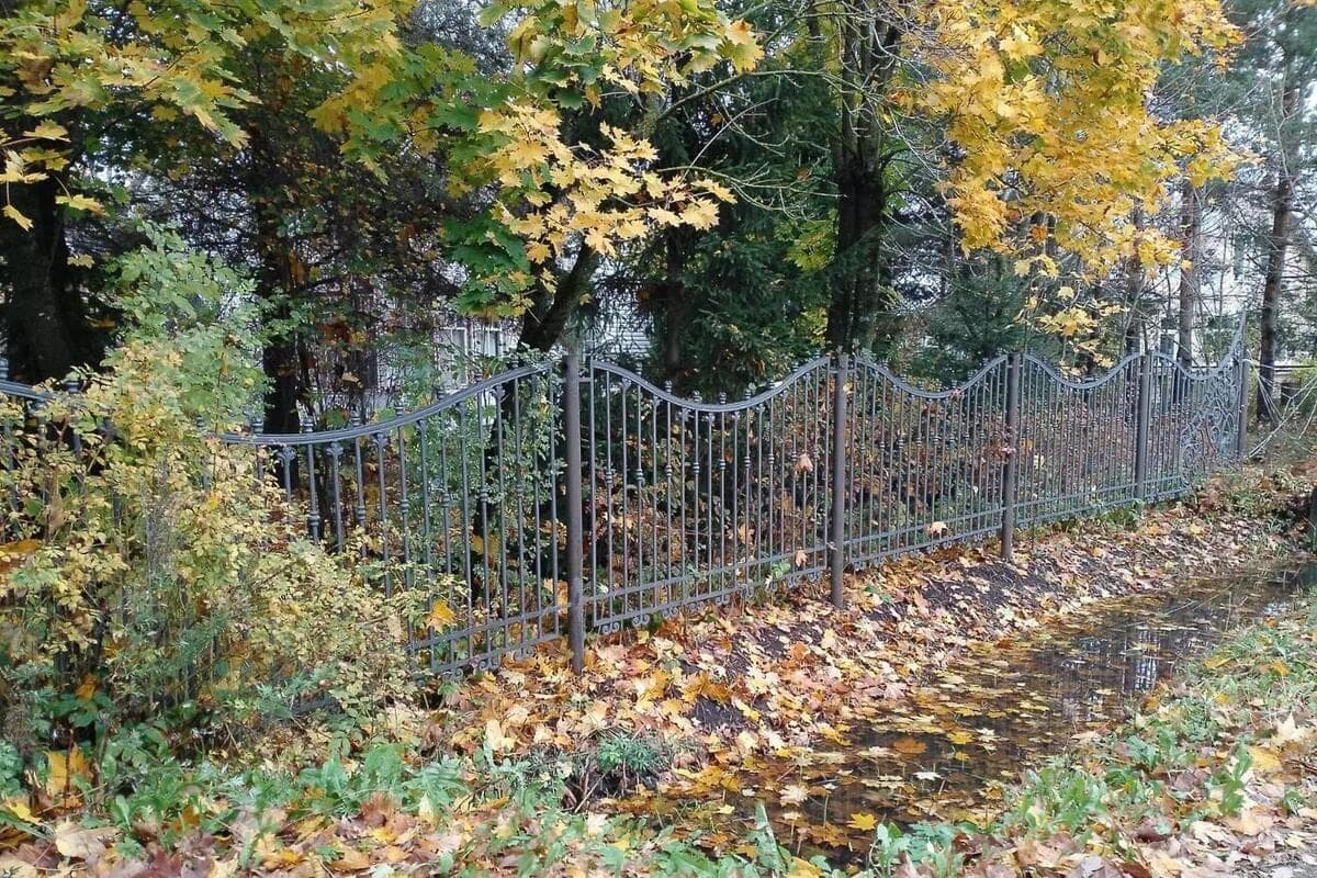 Day without precipitation and up to +10 degrees promised weather forecasters Leningrad on October 14