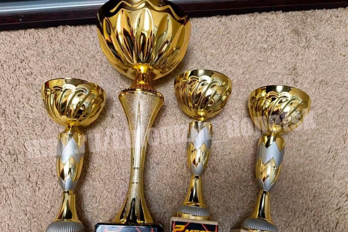 Donetsk “Man-GO” brought 17 awards from Khartsyzsk
