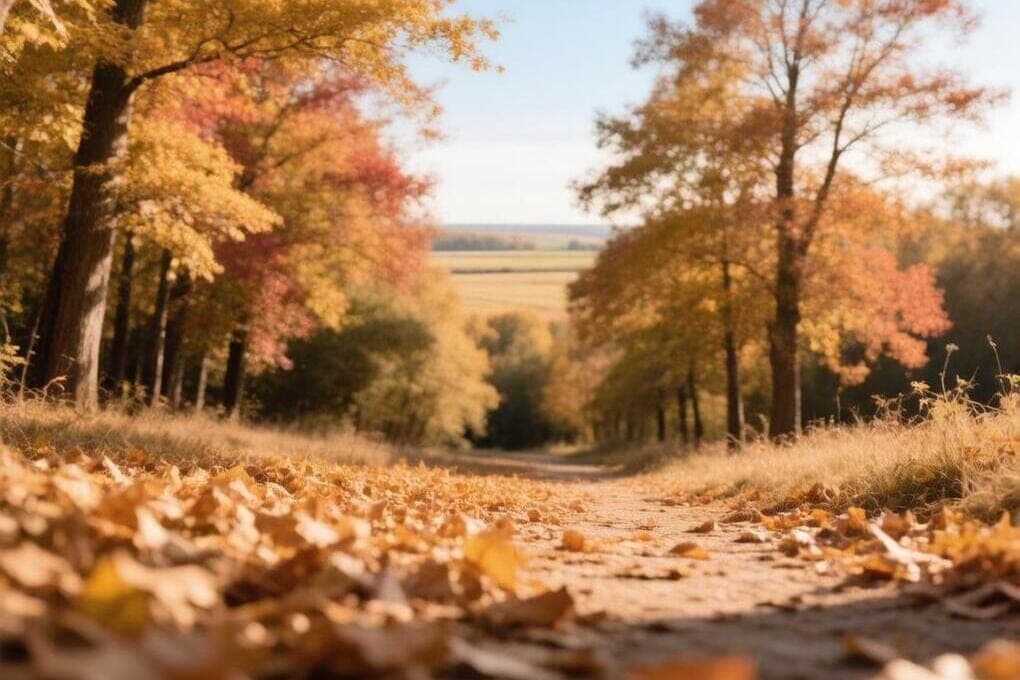 Forecasters told about the weather on October 12 in Smolensk