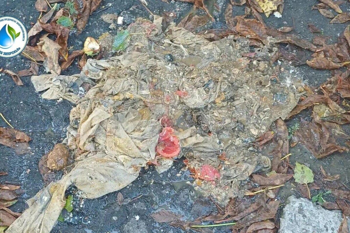 Sewerage in Zaporozhye region clogged due to napkins and food residues