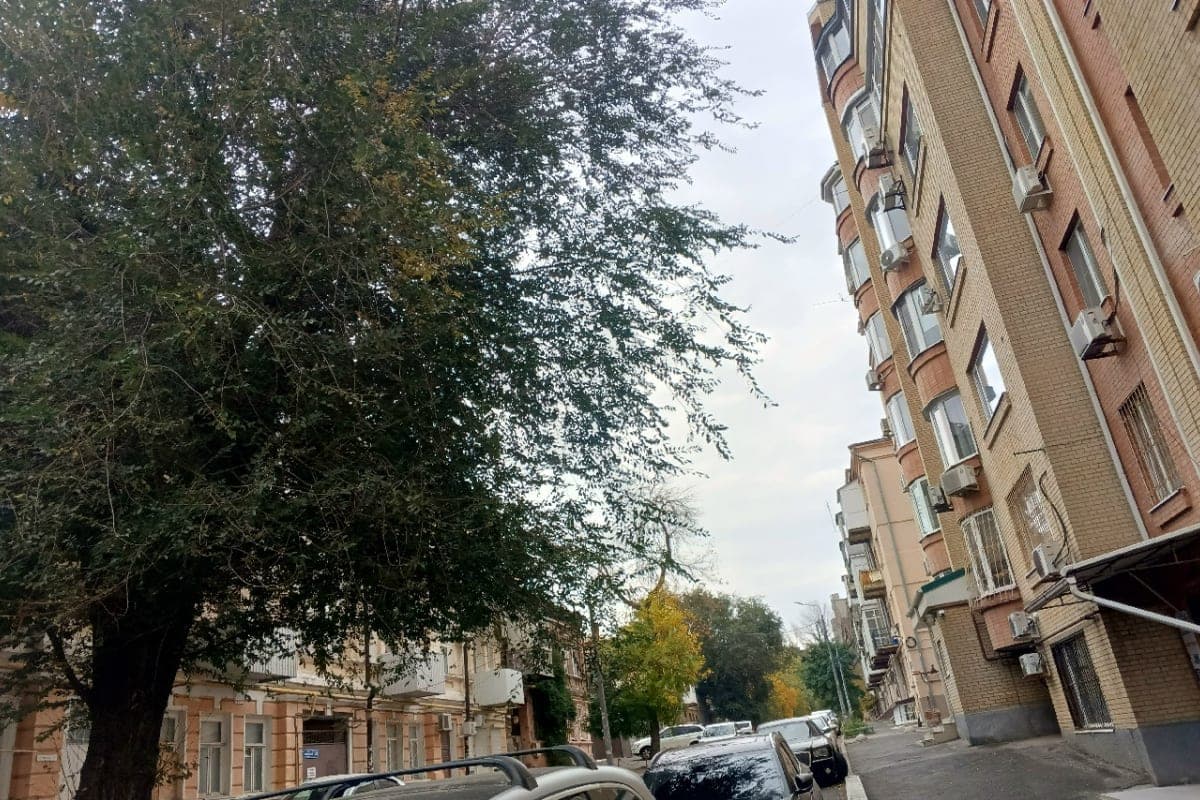 In Rostov on the weekend will warm up to +23 degrees and will rain
