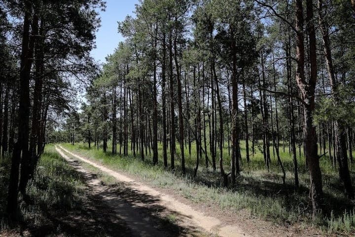 Astrakhan inspectors fined violators of forest legislation