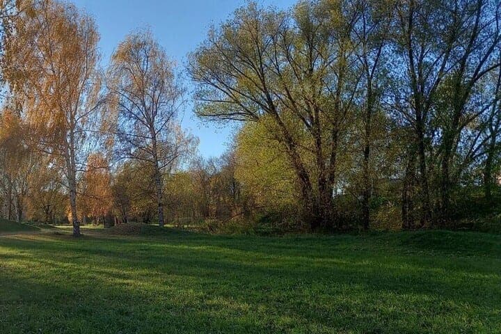 Тёплая осень способствовала продлению сезона клещей в России