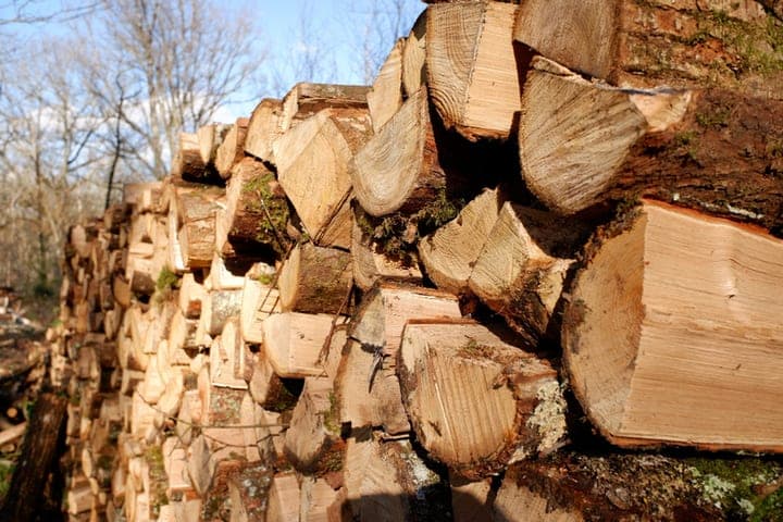 Kirov residents were forbidden to store firewood on municipal land