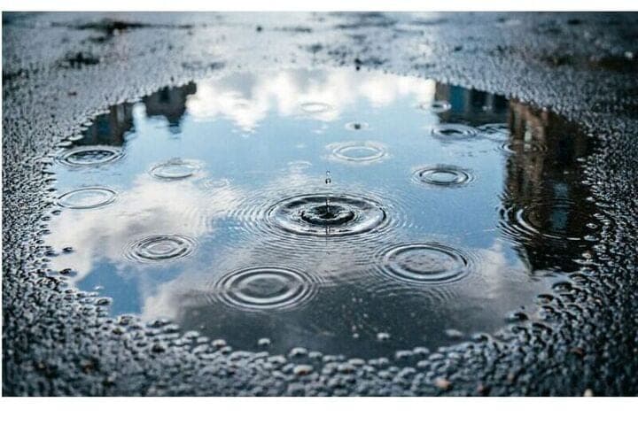 Forecasters on October 9 predict rainy weather in Smolensk