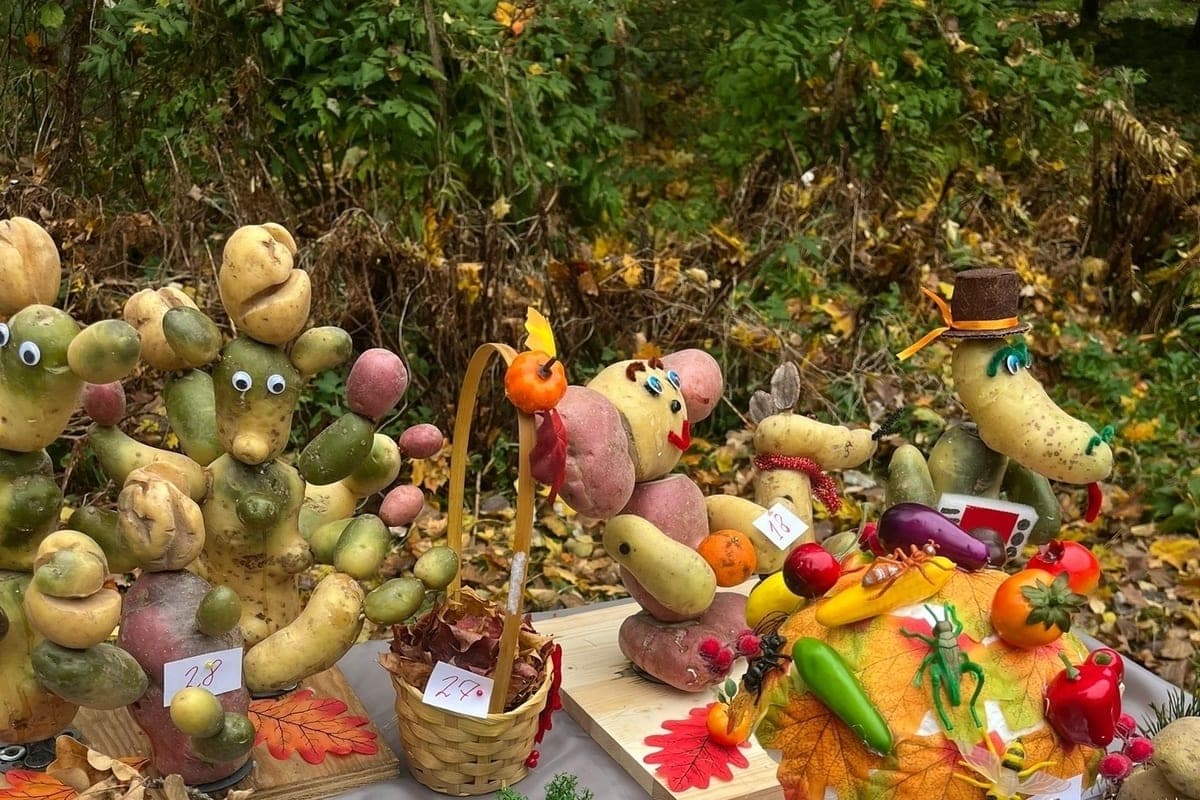 In Suida, the potato capital of Russia, celebrated the “Day of potatoes”
