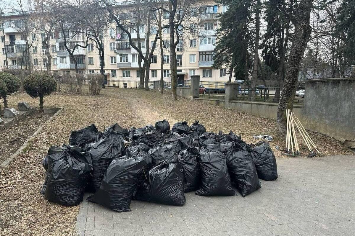 PACS SK specialists put the territory of the institution in order