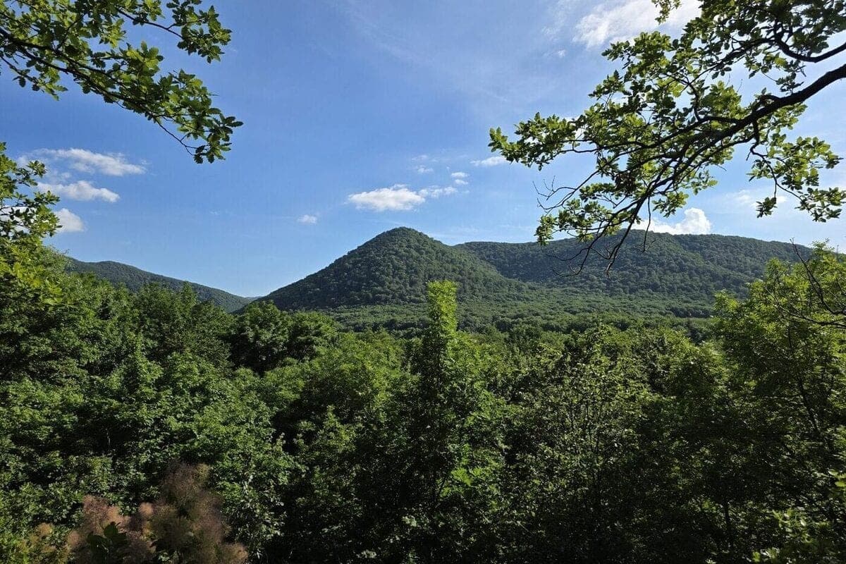 A man on an ATV crashed in the mountains of Tuapse district