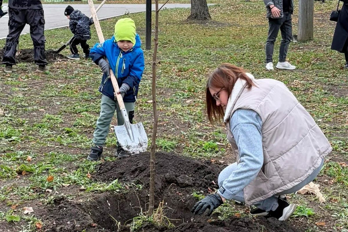About 60 volunteers landed an alley in the Lipetsk Park