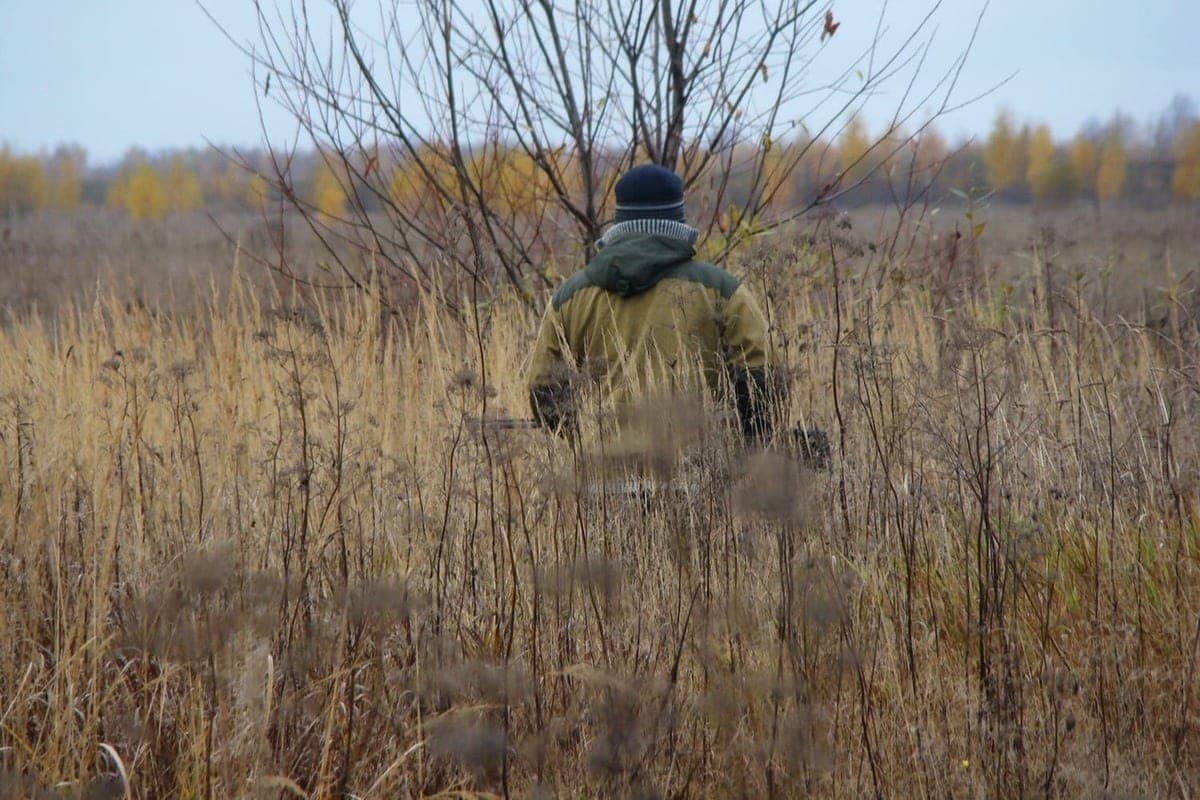 Hunting in Russia from 100 thousand rubles: what is included in the price and who is available tours